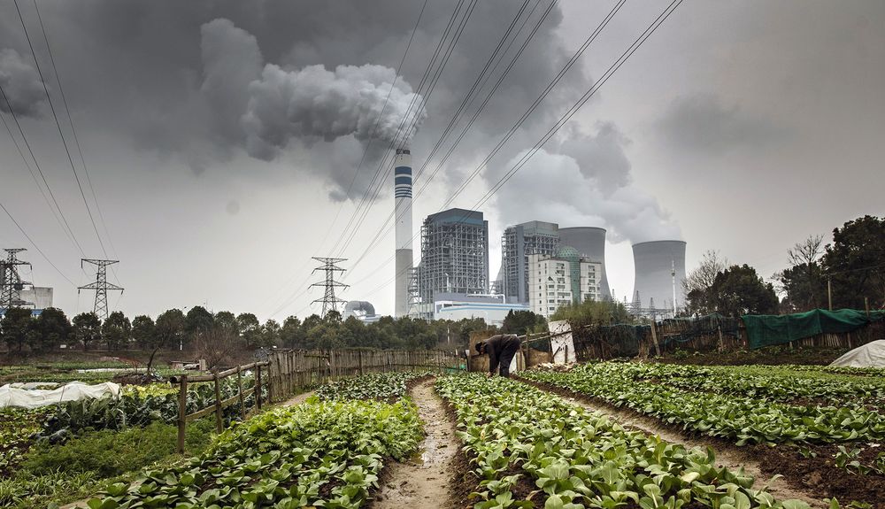 Governing Voluntary Carbon Markets: Enhancing the ability of the TSVCM to contribute to climate goal