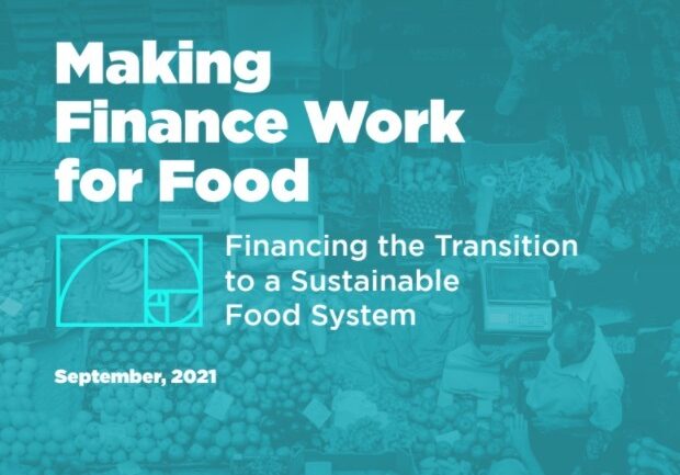 Reformular o financiamento global para apoiar a inevitável transição para um sistema alimentar sustentável