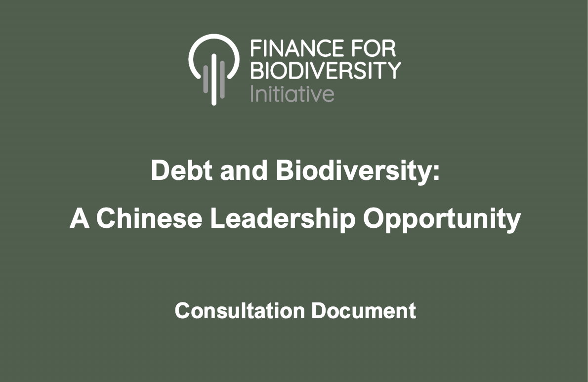 Debt and Biodiversity: A Chinese Leadership Opportunity