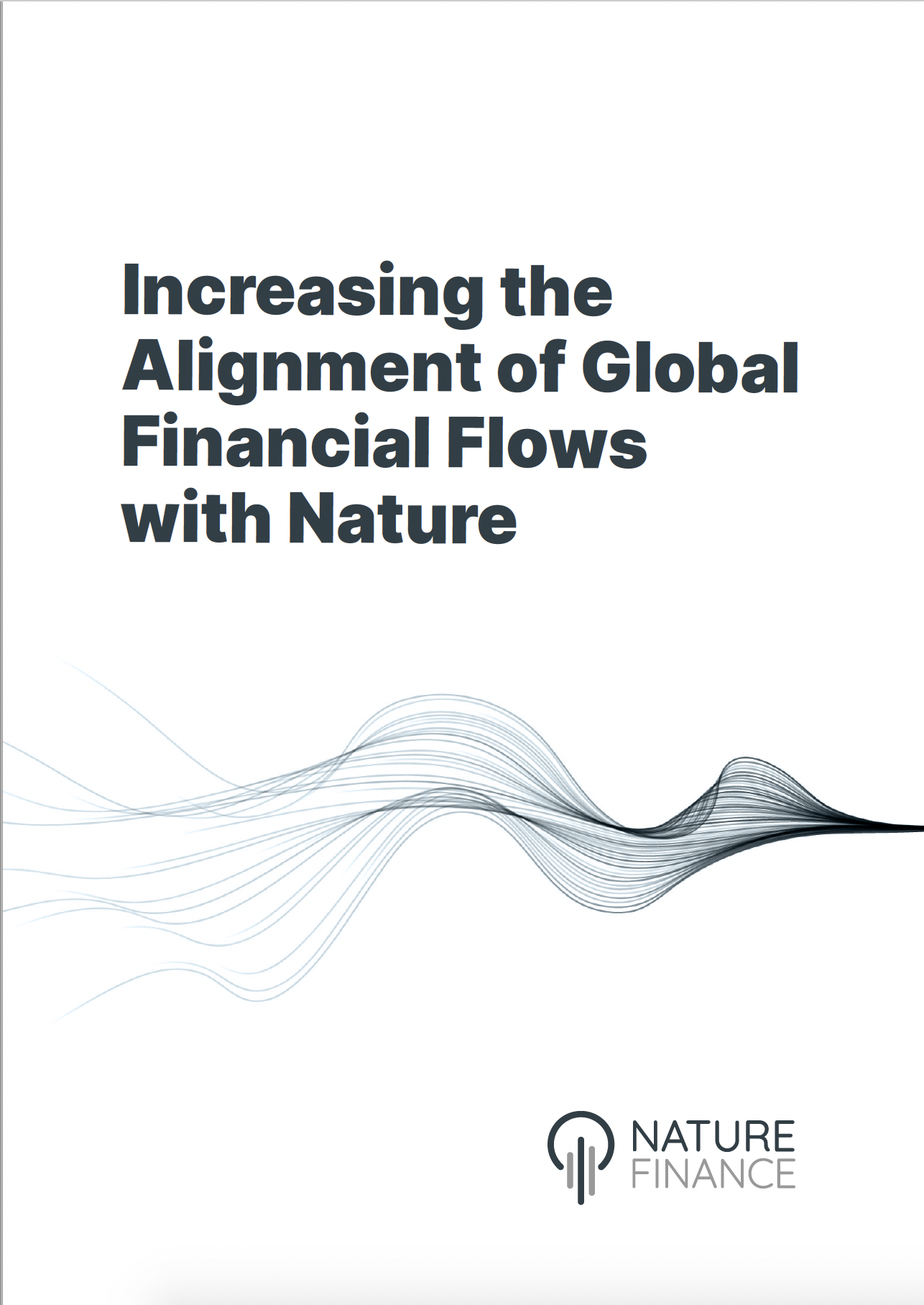 Increasing the Alignment of Global Finance with Nature