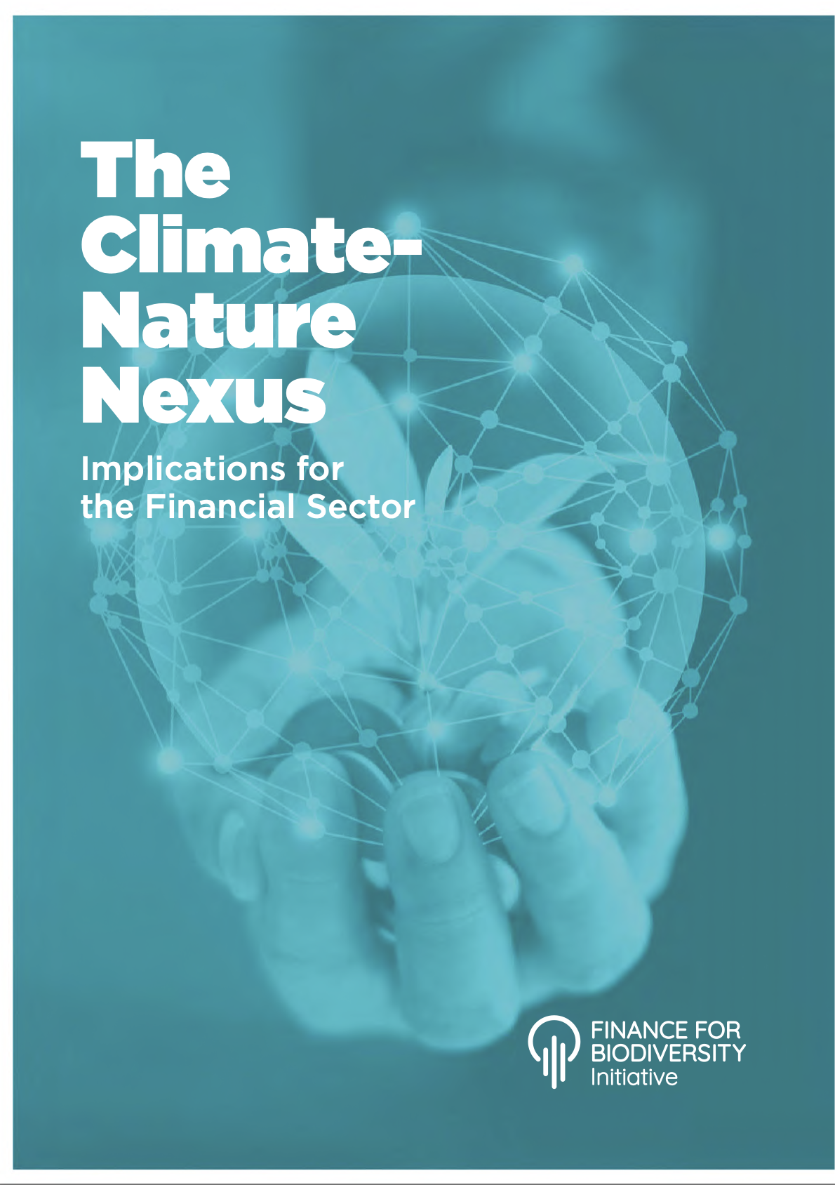 The Climate-Nature Nexus Implications for the Financial Sector