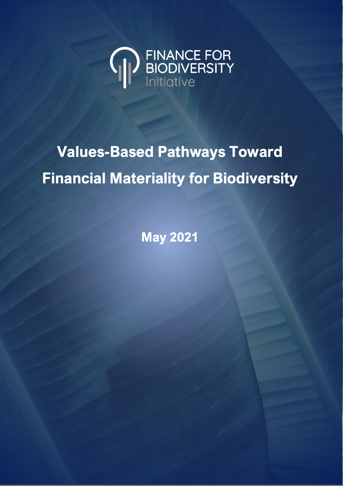 Values-Based Pathways Toward Financial Materiality for Biodiversity