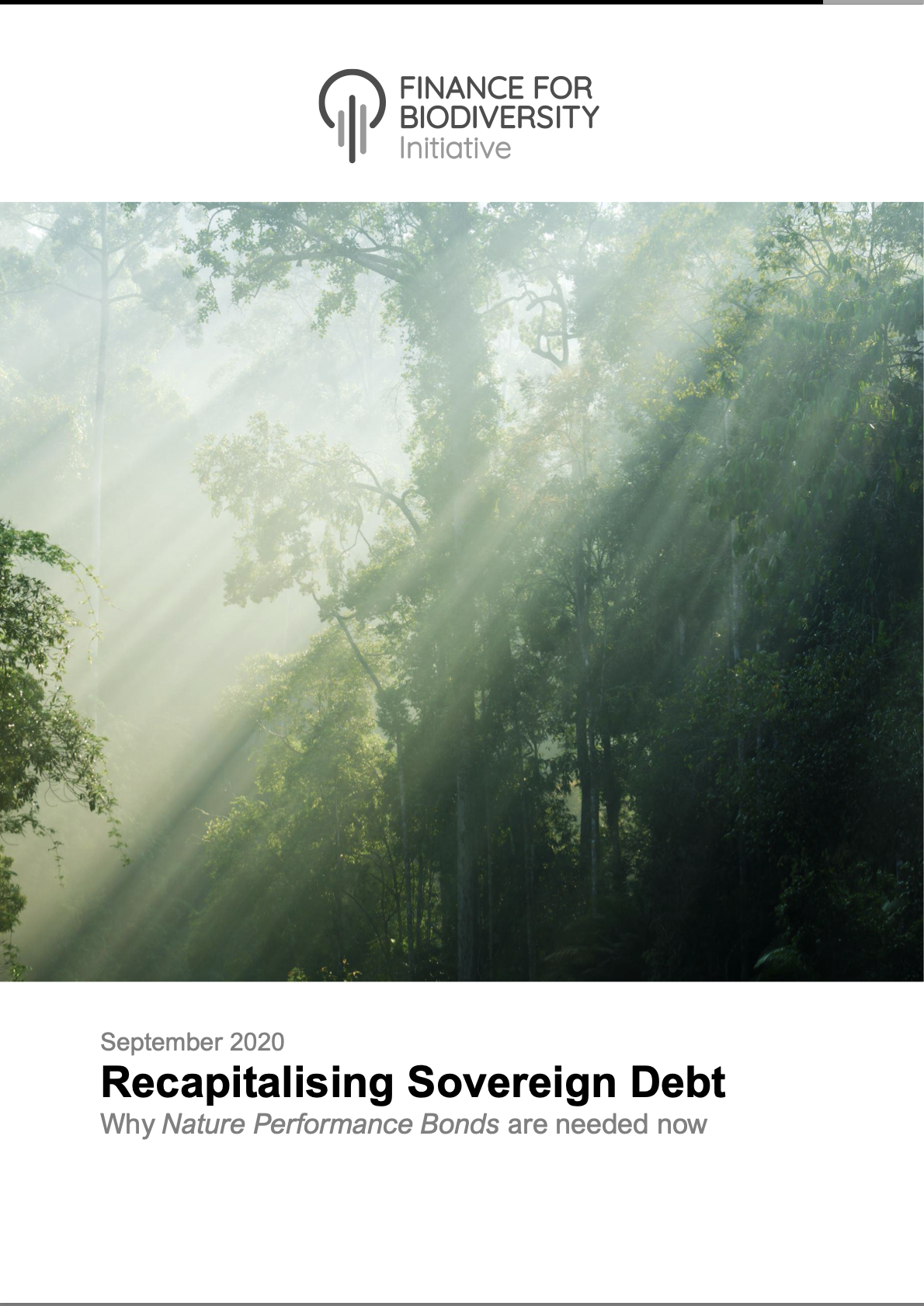 Recapitalising Sovereign Debt: Policy Briefing