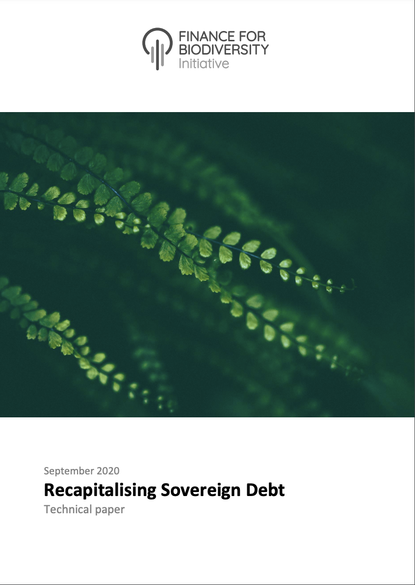 Recapitalising Sovereign Debt: Technical Paper