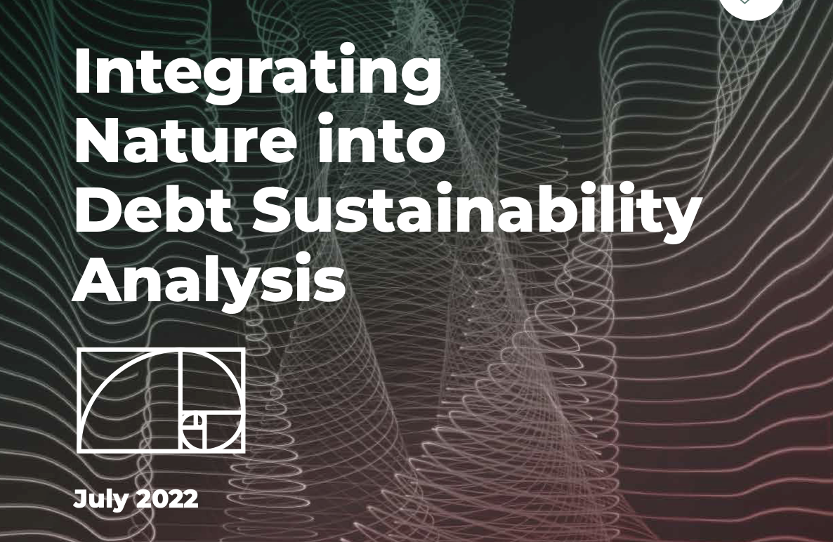 Report Calls for IMF & World Bank to Address Nature Loss in Country Debt Sustainability Assessments