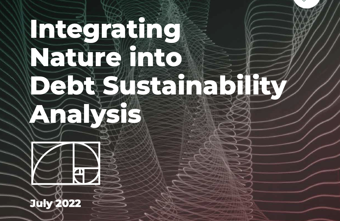 Relatório pede que o FMI e o Banco Mundial abordem a perda da natureza nas avaliações de sustentabilidade da dívida dos países