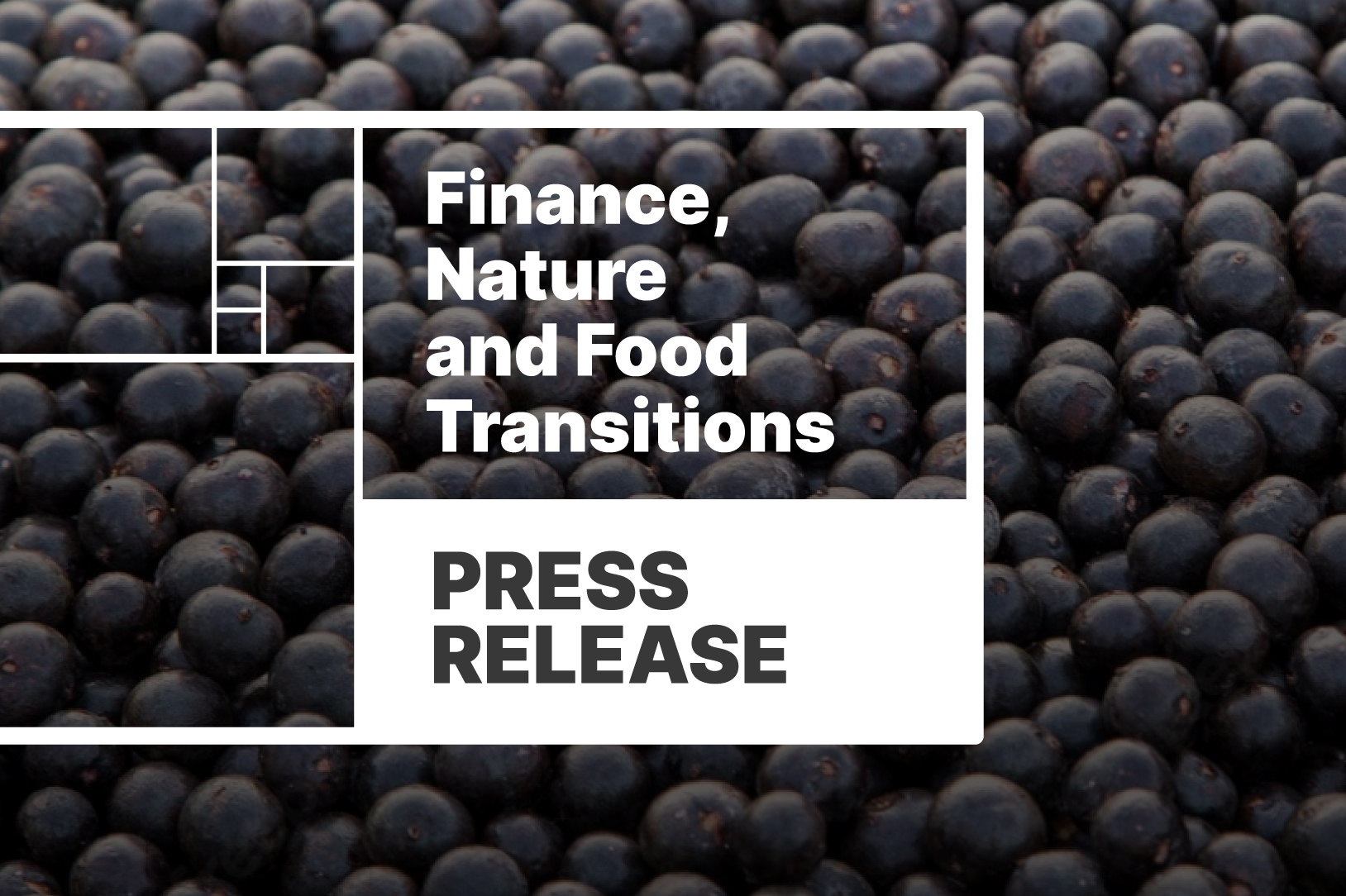 Study shows limitations of finance sector in delivering sustainable food, climate and nature goals