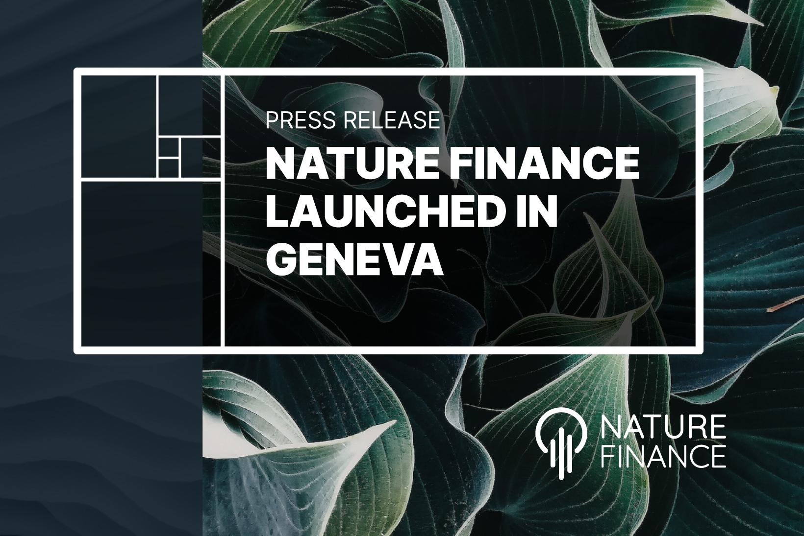 NatureFinance sets up in Geneva building global hub of excellence in nature and finance
