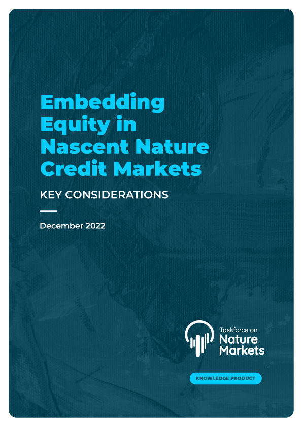 <strong>Embedding Equity in Nascent Nature Credit Markets:  Key Considerations</strong>