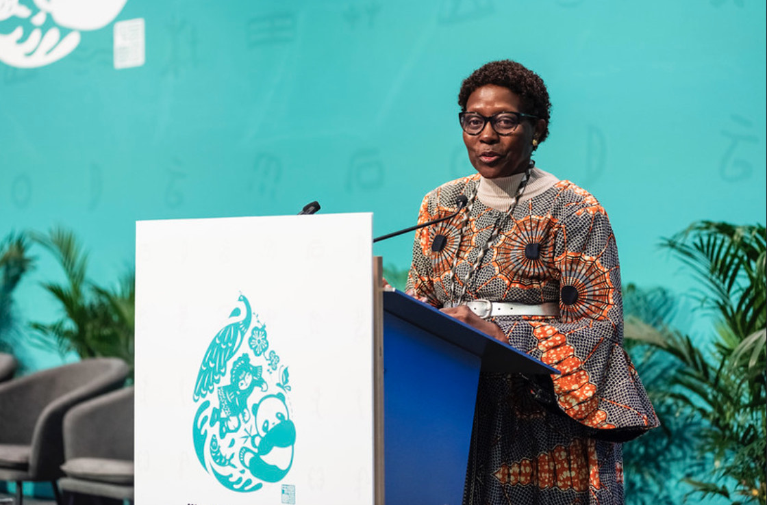 COP15 Takeaways and Landmark Deal for Nature