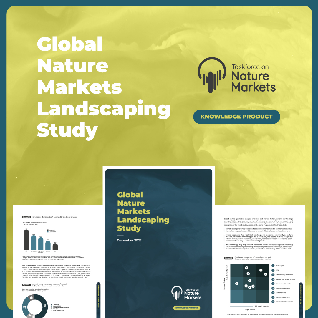 STUDY VALUES NATURE-RELATED MARKETS AT US$10 TRILLION