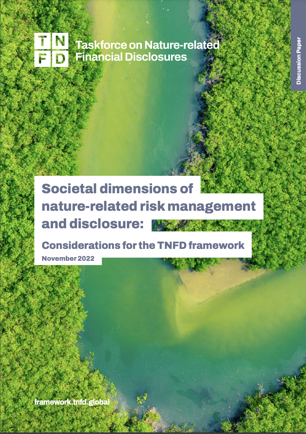 Societal dimensions of nature-related risk management and disclosure: Considerations for the TNFD framework