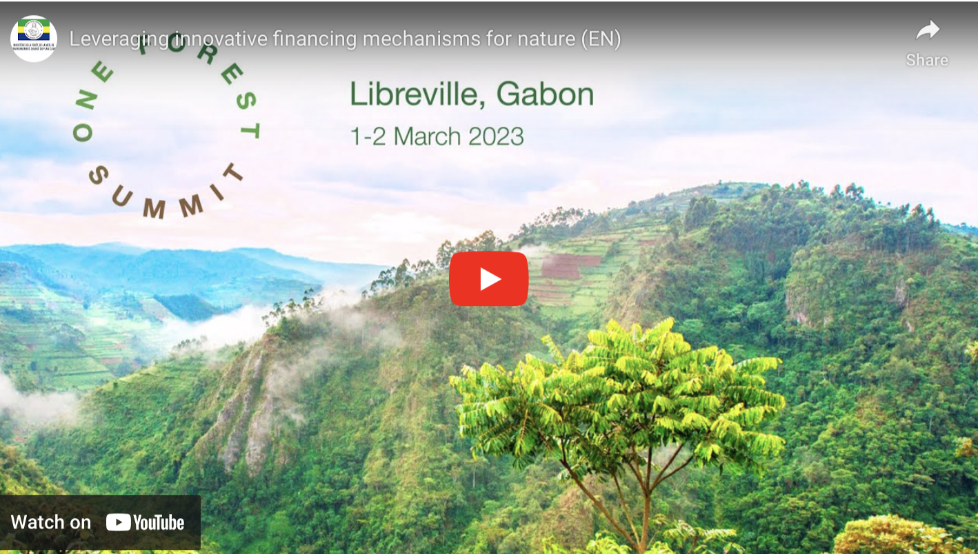 NatureFinance at the One Forest Summit