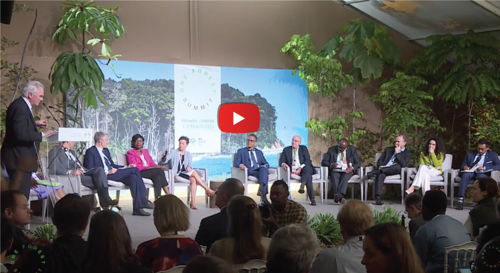 5 Take-Aways from the One Forest Summit and Why it Matters
