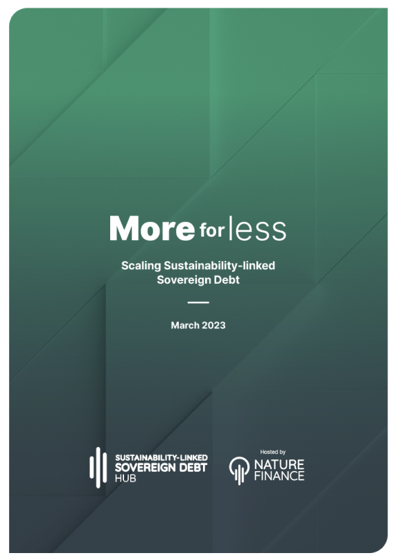 More for Less: Scaling Sustainability-linked Sovereign Debt