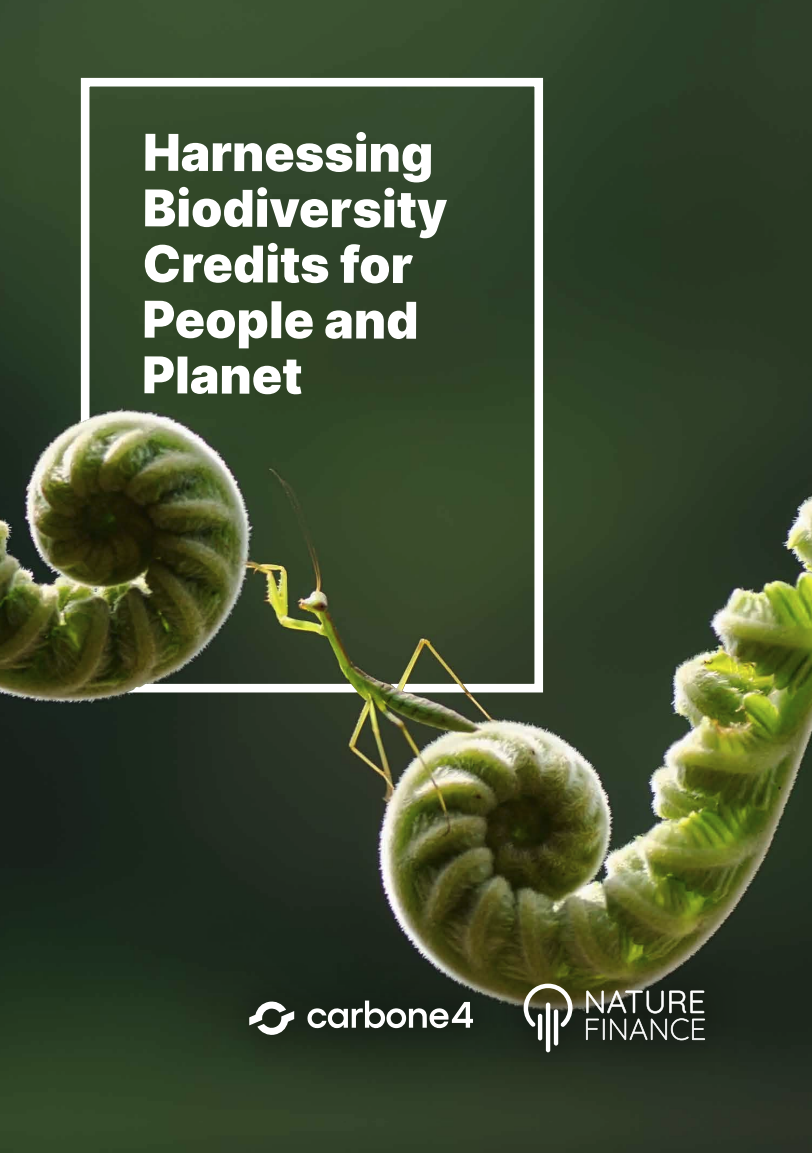 Aproveitamento dos créditos de biodiversidade para as pessoas e o planeta 