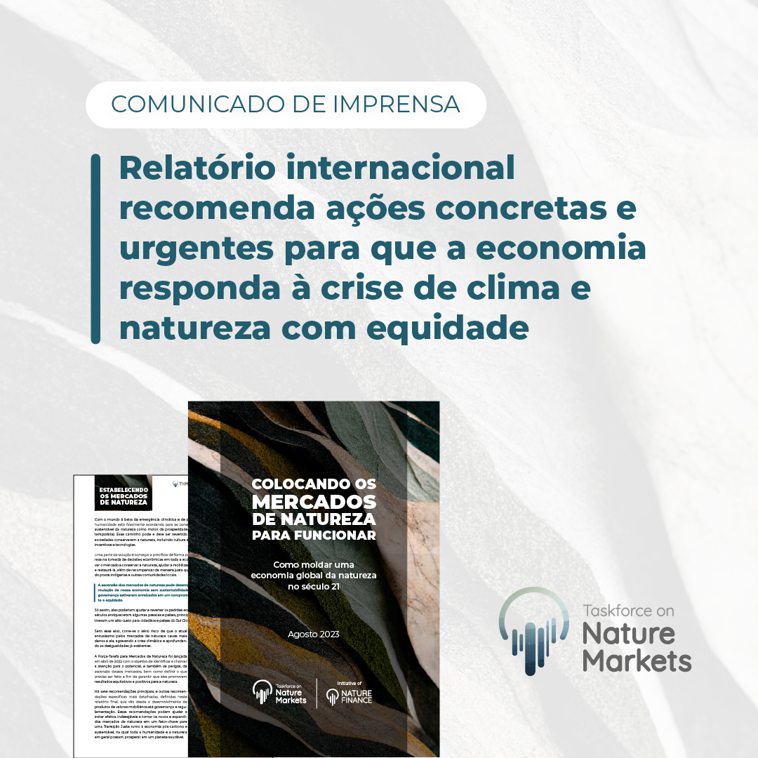 Relatório internacional recomenda ações concretas e urgentes para que a economia responda à crise de clima e natureza com equidade