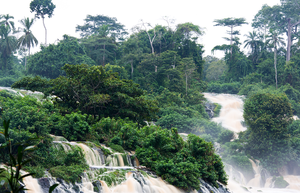 Join us at UNCTAD World Investment Forum 2023 | Integrating nature-related risk into capital markets