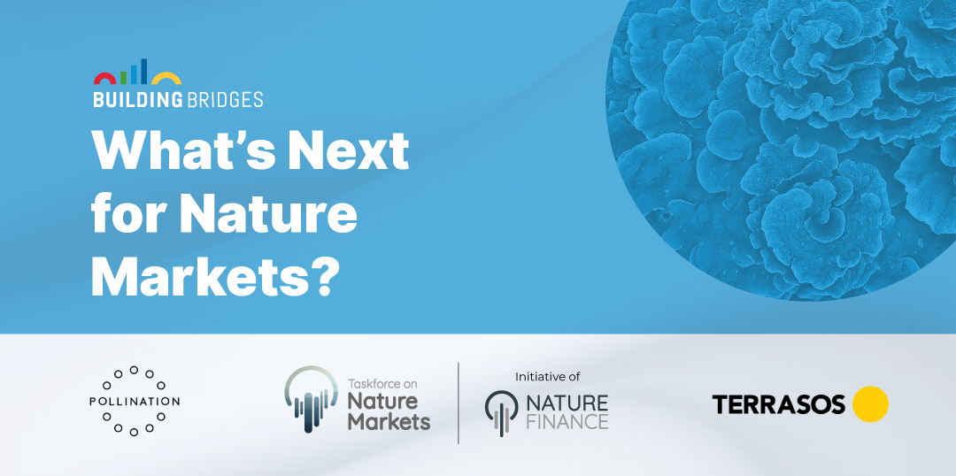Building Bridges Event: What’s Next for Nature Markets?
