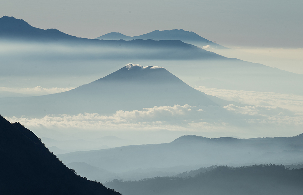 Carbon Pulse | Indonesian start-up to fund, advise Southeast Asian biodiversity efforts