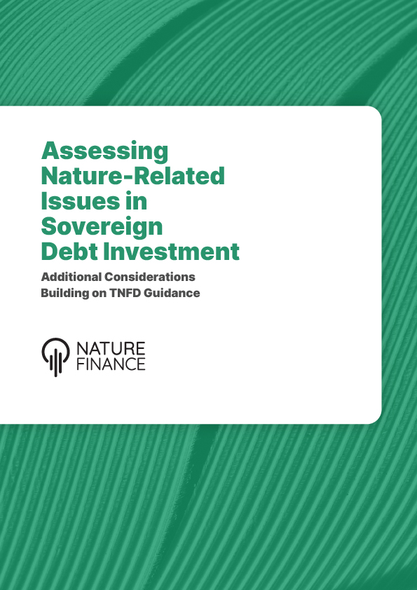 Avaliação de questões relacionadas à natureza em investimentos em dívida soberana