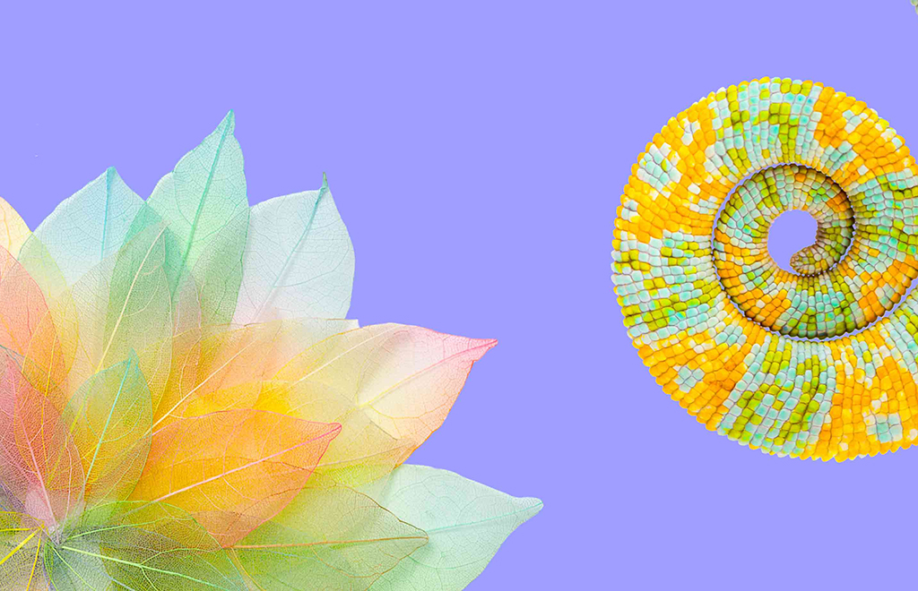 Join us at Bloom 23 | The rise of nature markets: getting it right