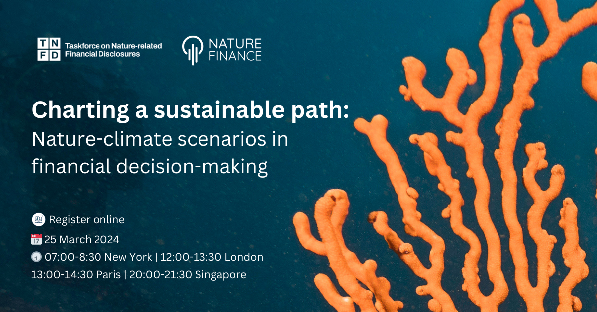 Charting a sustainable path: Nature-climate scenarios in financial decision-making