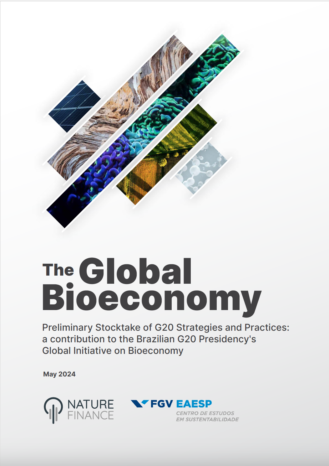 A Bioeconomia Global