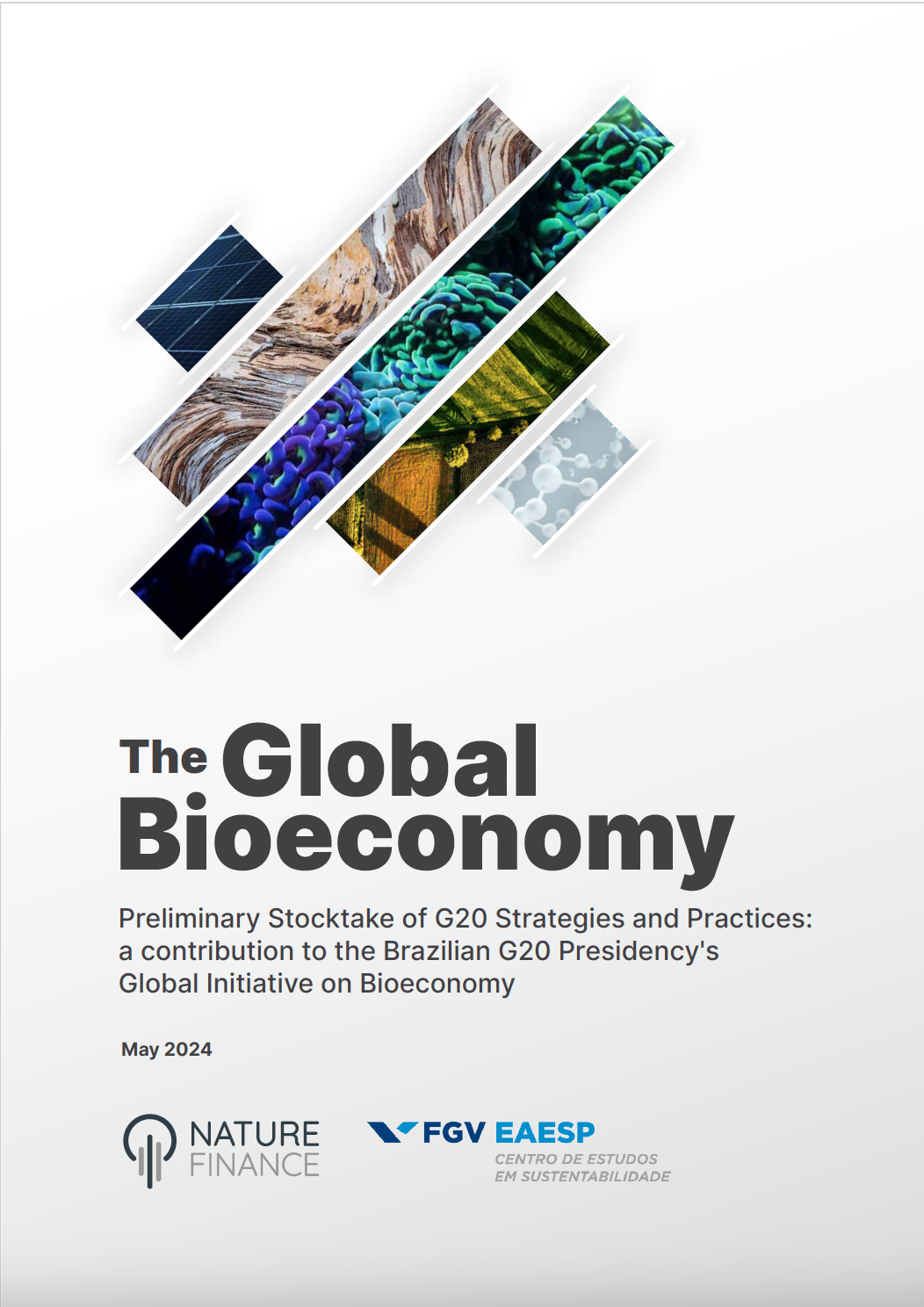 A bioeconomia global