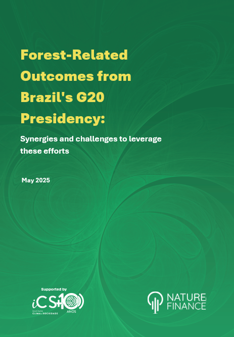 Forest-Related Outcomes from Brazil’s G20 Presidency: Next Steps