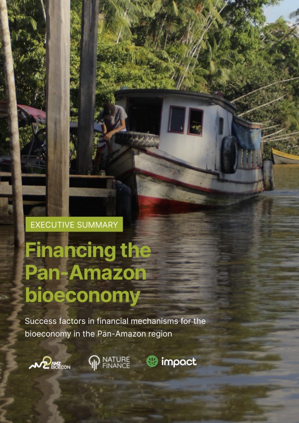 Financing the bioeconomy in the Pan-Amazon: Mapping financial mechanisms, success factors and recommendations