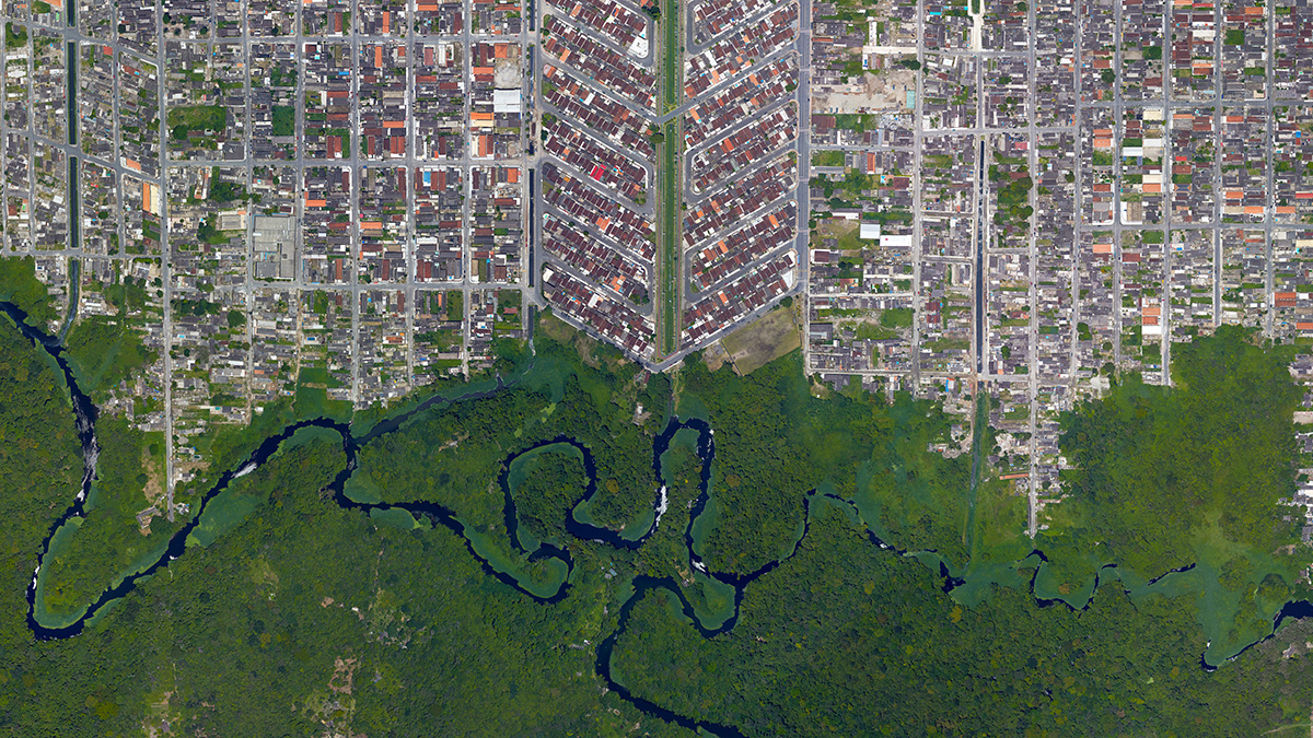 Sustainability leaders urge ISSB to introduce dedicated nature standard