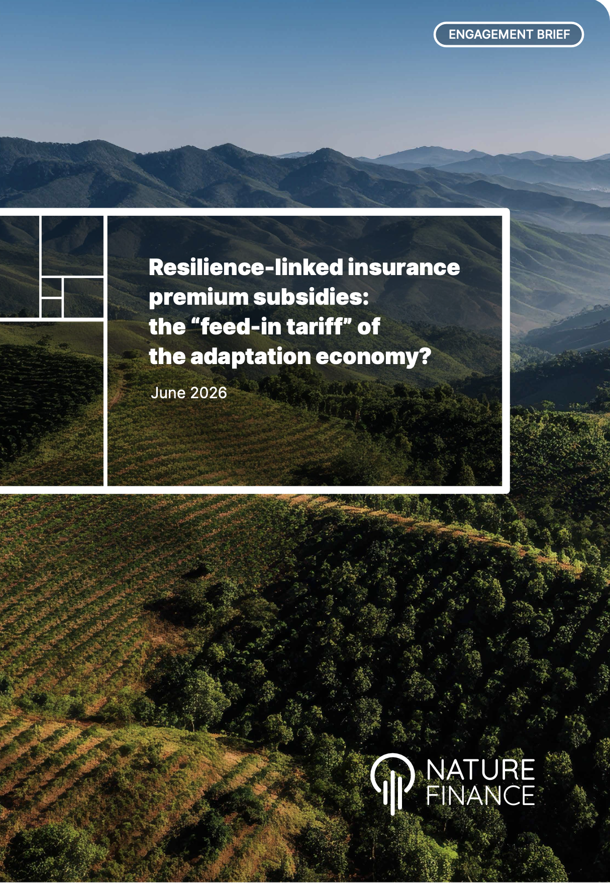Resilience-linked insurance premium subsidies: the “feed-in tariff” of the adaptation economy?