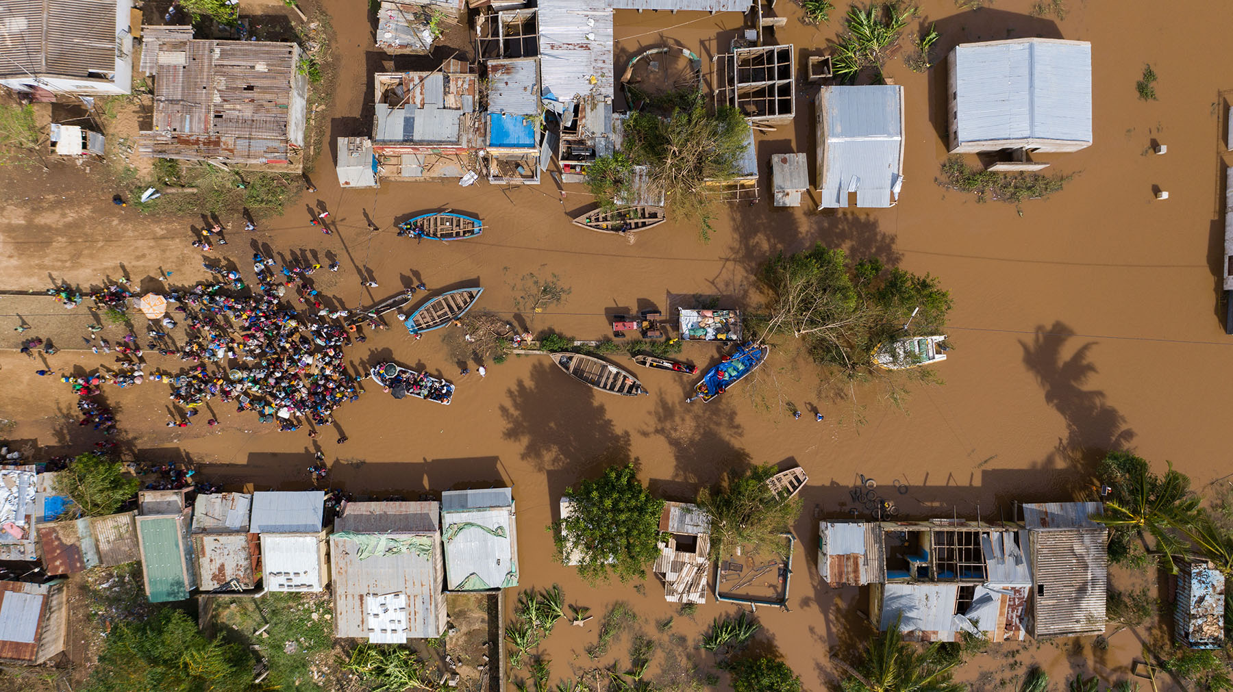 Could insurance premium subsidies become the feed-in tariff of the adaptation economy?