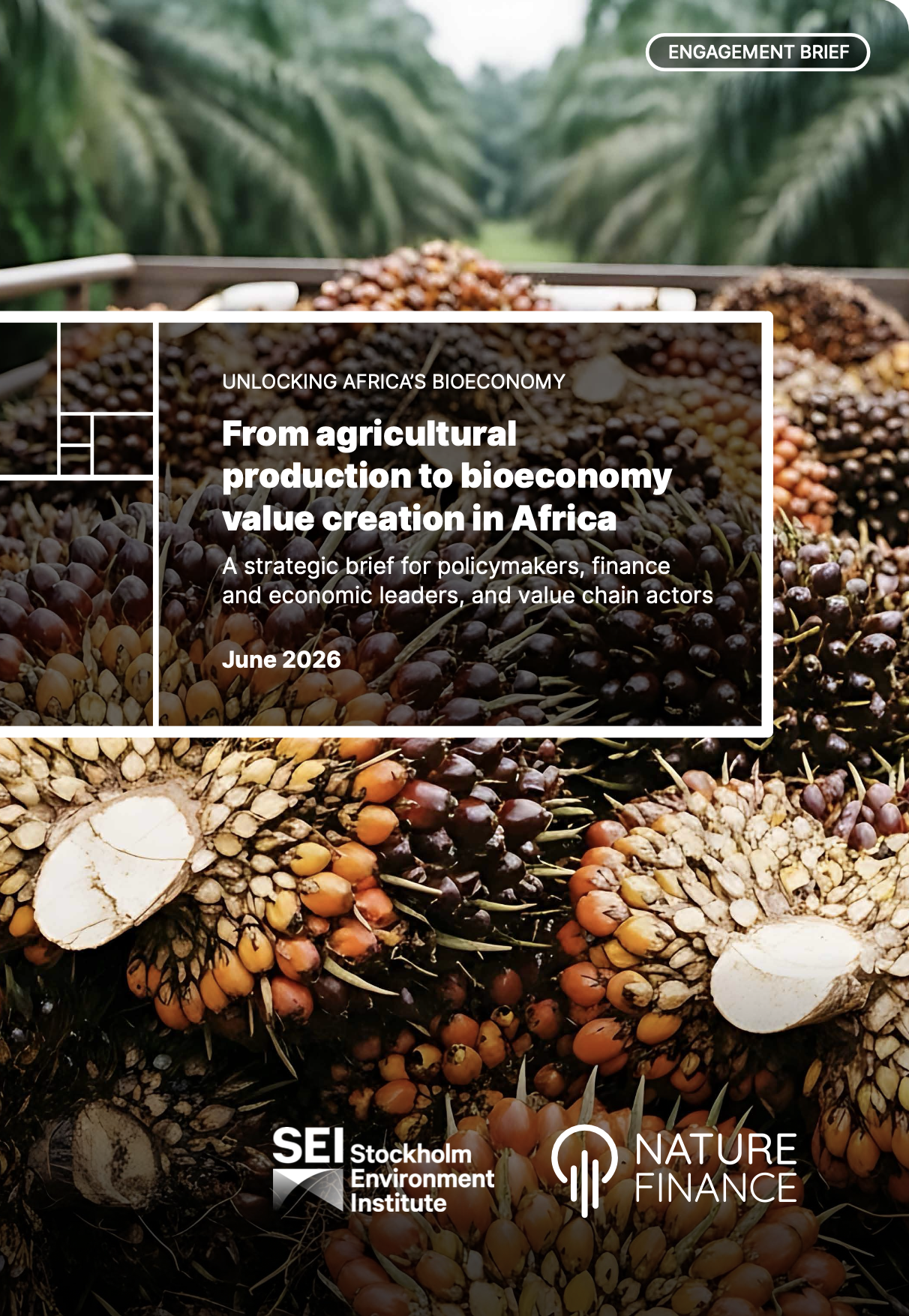 De la production agricole à la création de valeur dans le domaine de la bioéconomie en Afrique
