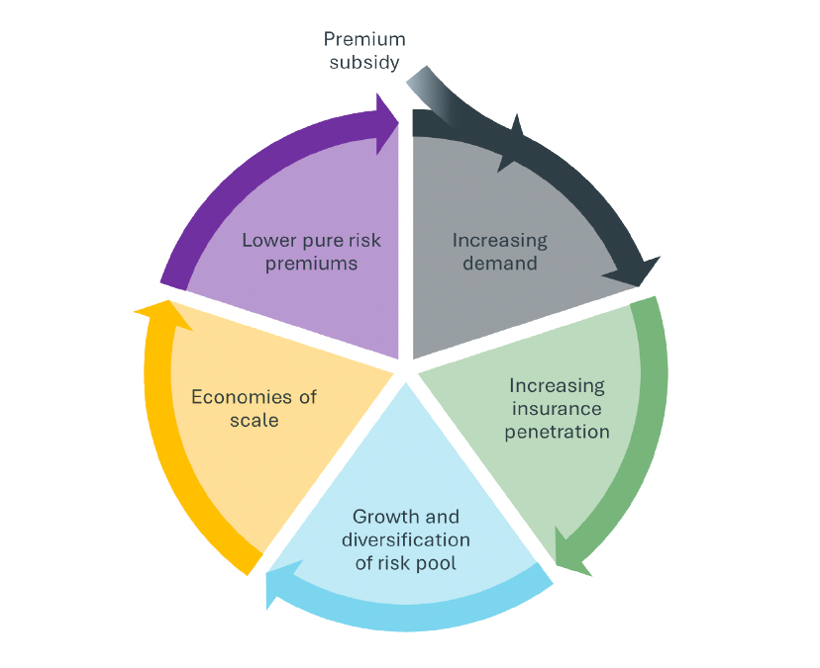 Insurance premium subsidy virtuous cycle showing how subsidies increase insurance uptake and strengthen climate resilience.